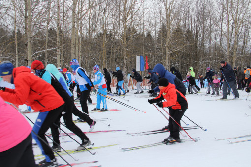 🎿ЧЕРЕПОВЕЦ ПРИСОЕДИНИЛСЯ К ВСЕРОССИЙСКОЙ МАССОВОЙ ЛЫЖНОЙ ГОНКЕ "ЛЫЖНЯ РОССИИ - 2021"🎿