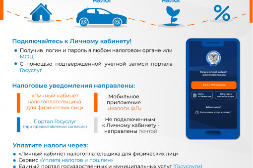 Заплати налоги до 1 декабря